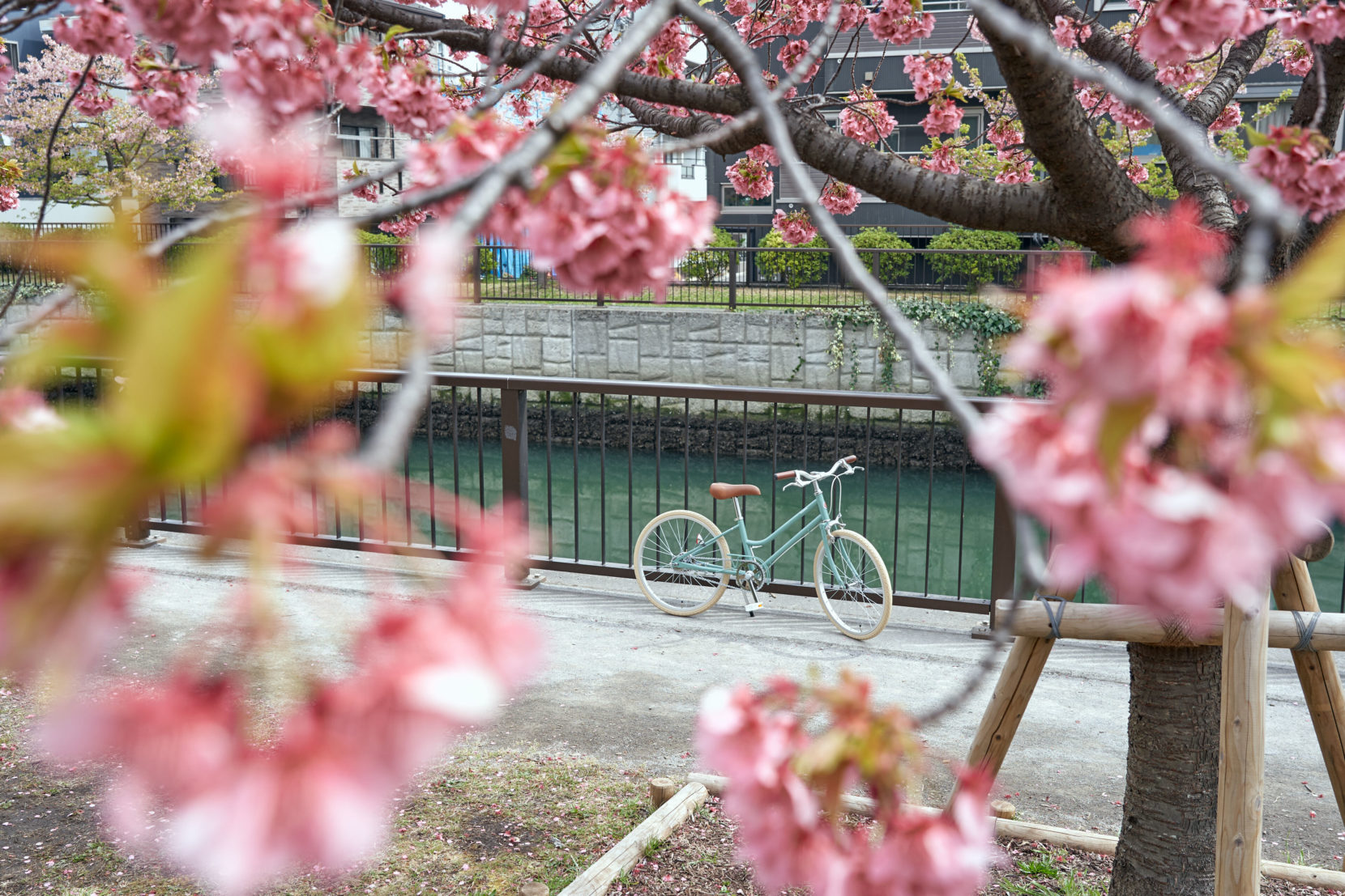 小学校低学年　キッズ用自転車　TOKYOBIKE Jr.