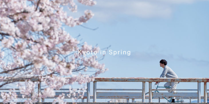 Spring in Kyoto! 春の京都！